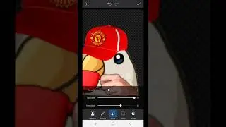 MATT - POMBO SPORTS