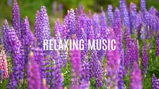 HOLY SPIRIT: 1 Hour Prayer Music | Christian Meditation Music