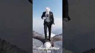 cat Video funny  Short video #hindisong #music #love #Aicat #Virtualcat #AiCatAnimation #DigitalPet