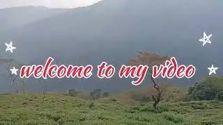 Pandam tea faulai 