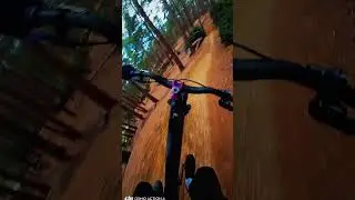 Ride with me at Swinley Summit #mtb #mtbtrails #mtblove #mountain bike n