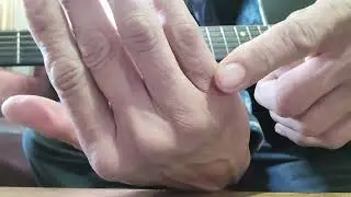 Con tocar la cancion de perros amores de control machete.