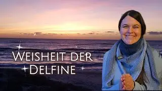 ✨️Die tiefe Weisheit der Delfine: Mehr als Leichtigkeit und Freude 