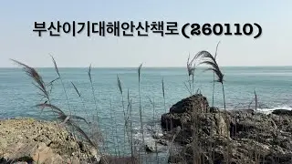 (260110) 이기대해안산책로 #이기대 #해안산책로 #광안리해수욕장 #광안대교 #힐링 