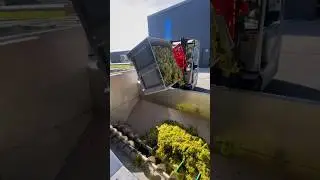 Let's crush some grapes! 🤩🍇🎥➡️@andreola_valdobbiadenedocg #grape #harvest #crushing #winemaking