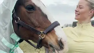 Millbry Hill Pro Fly Rug