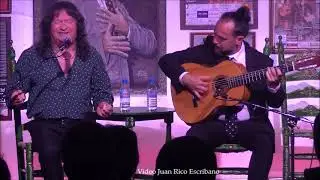 Cancanilla de Málaga con Chaparro de Málaga - Tarantos y Cartagenera