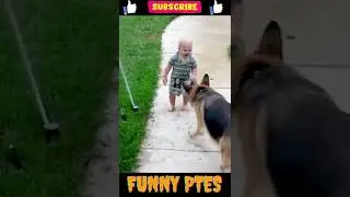 funny ptes/No creer&aacute;s la alegr&iacute;a de este ni&ntilde;o cuando juega con su perro en el agua