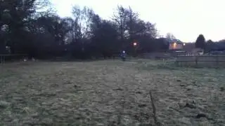 Our new welshpitbike 140 crf70 ( stomp 140)