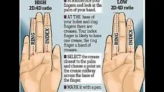 Index Ring Finger Predict Testicle Size according to Korean study