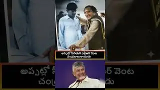 #tdp #chandrababu AP CM Chandrababu Naidu with Senior NTR in a rare video