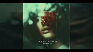 The Forest I Didn’t Question- tcwi. 2026