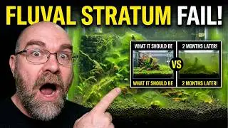 How to Set Up a Fluval Stratum Tank for Soft Water Shrimp