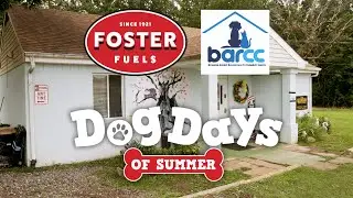 Dog Days of Summer | Foster Fuels & BARCC