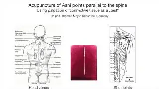 Videoposter Ashi points Meyer