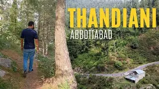 THANDIANI TOP ABBOTTABAD | Beautiful Hill Station | Vlog