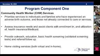 Perinatal and Infant Community Health Collaboratives