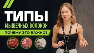 Типы мышечных волокон и факторы гипертрофии: полный разбор