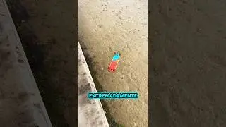 No Era Un Simple Monopatín…😭