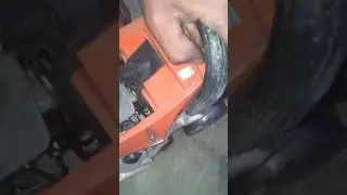 Ferny reparatorul