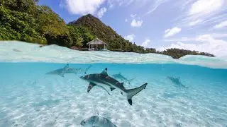 TOP 10 Hidden GEMS You MUST Visit - Hidden Paradise Island Edition. 