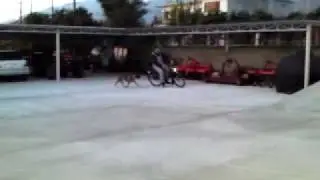 SOLEX 45 VS DOG,JOKE FANNY VIDEO &Alpha;&Sigma;&Tau;&Epsilon;&Iota;&Omicron; &Beta;&Iota;&Nu;&Tau;&Epsilon;&Omicron;.GFAL1 ..mp4