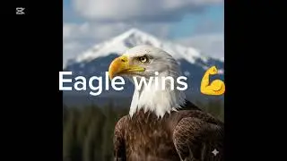 Falcon vs Eagle 😳 #shorts
