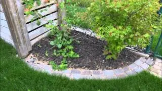 Calgary Garden Oasis: Complete Makeover with A Green Future! (#CalgaryLandscaping)