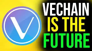 Why VeChain Is The Future Of Cryptocurrency - VET Vechain Cryptocurrency