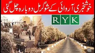 Great news RYK Sugarmills start Crushing again | Great news Sugar mill started crushing again