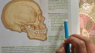 TRAJECTORIES OF FORCE (ORTHODONTICS EASY IN 2 Minutes)