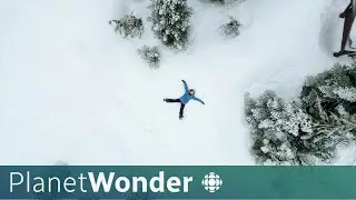 How dense is Canada's snow and why do we need to know?