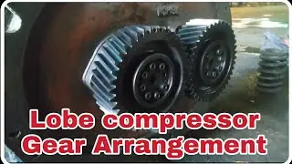 Lobe Compressor Gear Arrangement | Lobe Compressor Maintenance