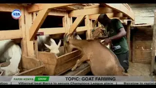 🐐 Goat Farming 101  How to Start and Profit! From Scratch