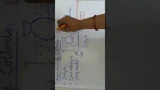 Purification of Colloids