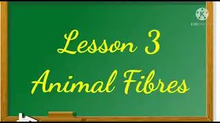 Animal fibres 1