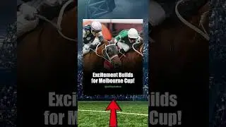 Melbourne Cup 2025: Buckaroo Joins the Fray! #Shorts