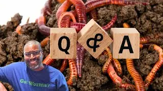 Worm Farming Q & A