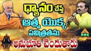 PDMY 3 Day 2 | ధ్యానం చేస్తే ఆత్మ యొక్క పవిత్రతను అనుభూతి చెందుతారు | Gyanvatsal swami | PMC Telugu