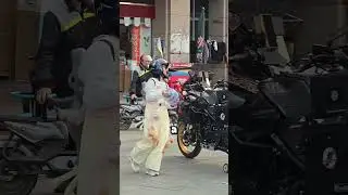 Personne n'arrivait à relever sa moto 😱