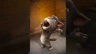 Talking Tom Cat - New Tom The best Funny - Tom Video 1