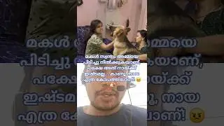 The mother was caught by her daughter, but look at the dog's anger 😳🐶 #pet #doglove #dogreaction ...