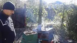 Topire ceara pe faguri 2
