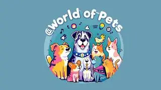 World of Pets