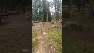 Video of Lilly Lake Campground, UT from Alan B.