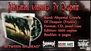 Abysmal Growls Of Despair - New Begining PROMO SONG