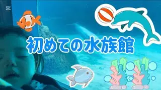 【生後11ヶ月】初めて水族館に行きました♪