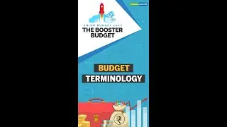 BUDGET TERMINOLOGY TAX EDITION