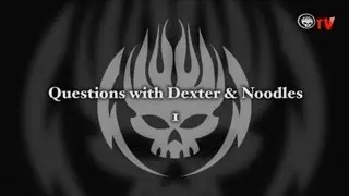 Questions with Dexter & Noodles