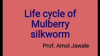 Life cycle of silkworm, egg, larva pupa, adult. Types of eggs-hibernating&non hibernating.